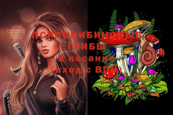 ГАЛЛЮЦИНОГЕННЫЕ ГРИБЫ Волосово
