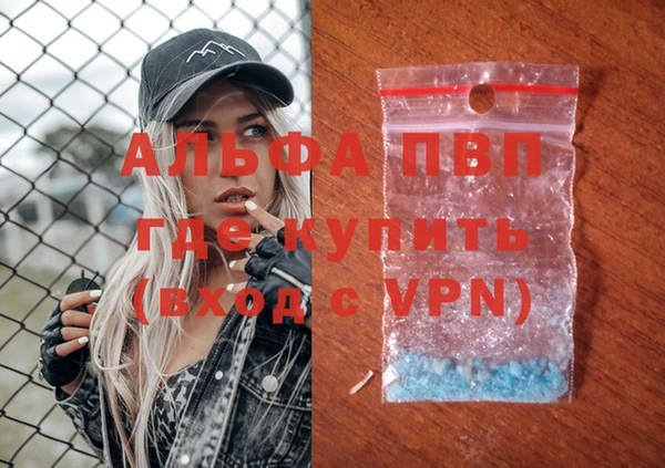 гашик Туринск